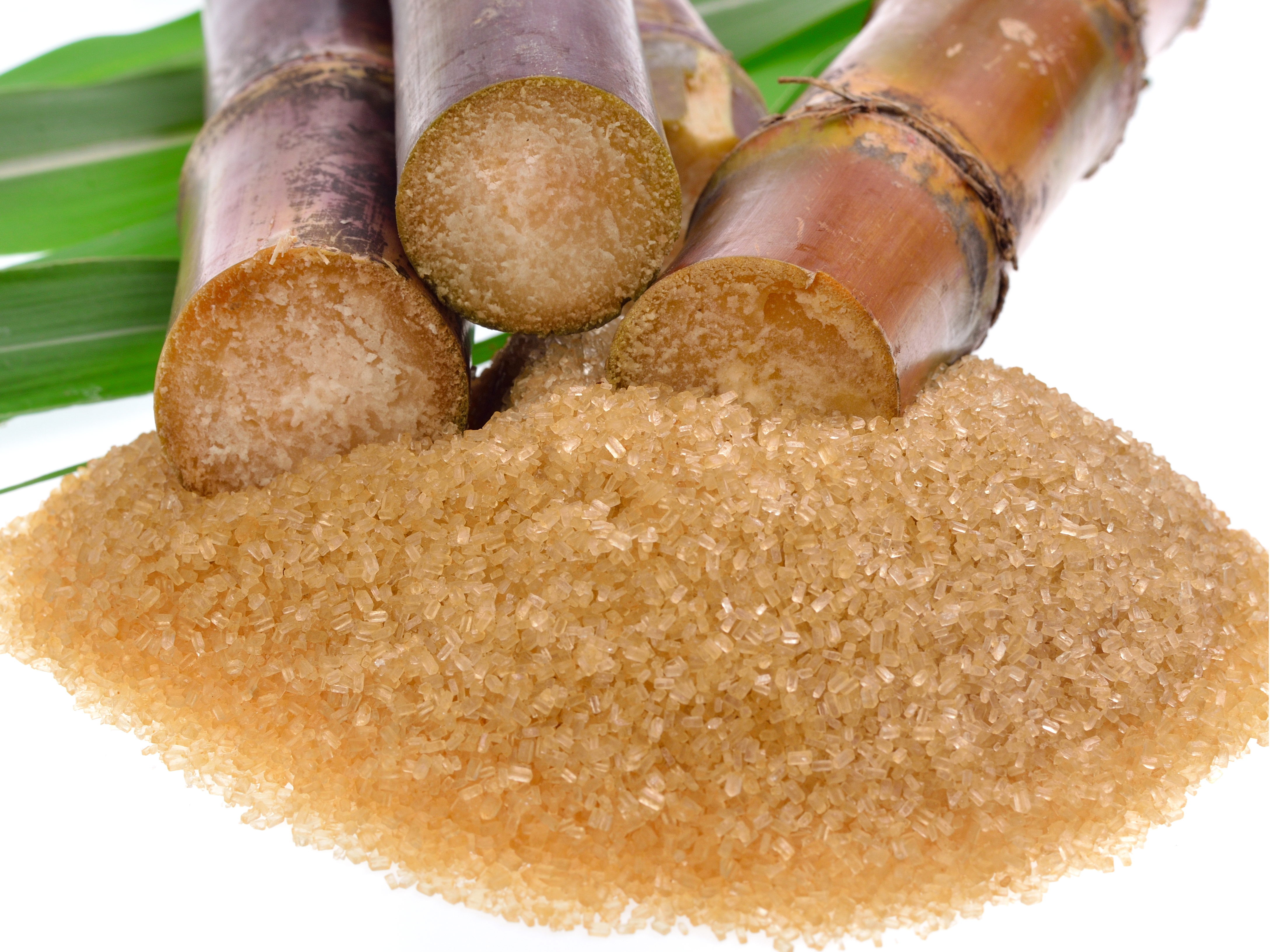 Cane Sugar Other Name