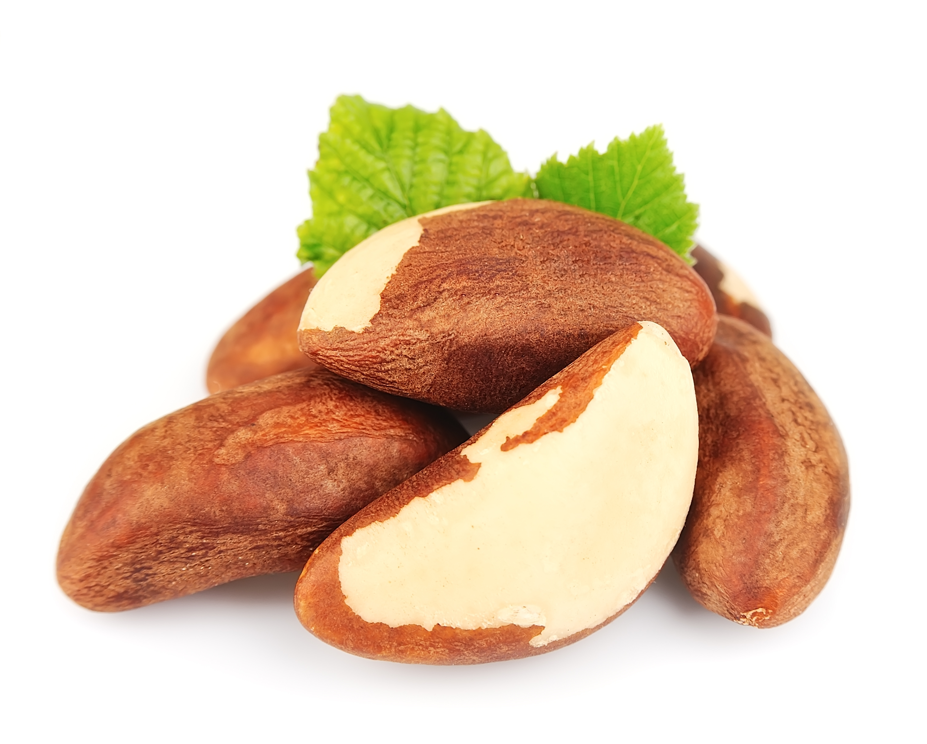 Brazil Nut – NutraWiki