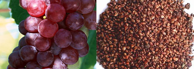 Grape-seed-extract.jpg