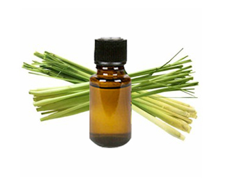 Lemongrass oil.jpg