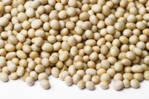 Nattokinase derived from soybeans