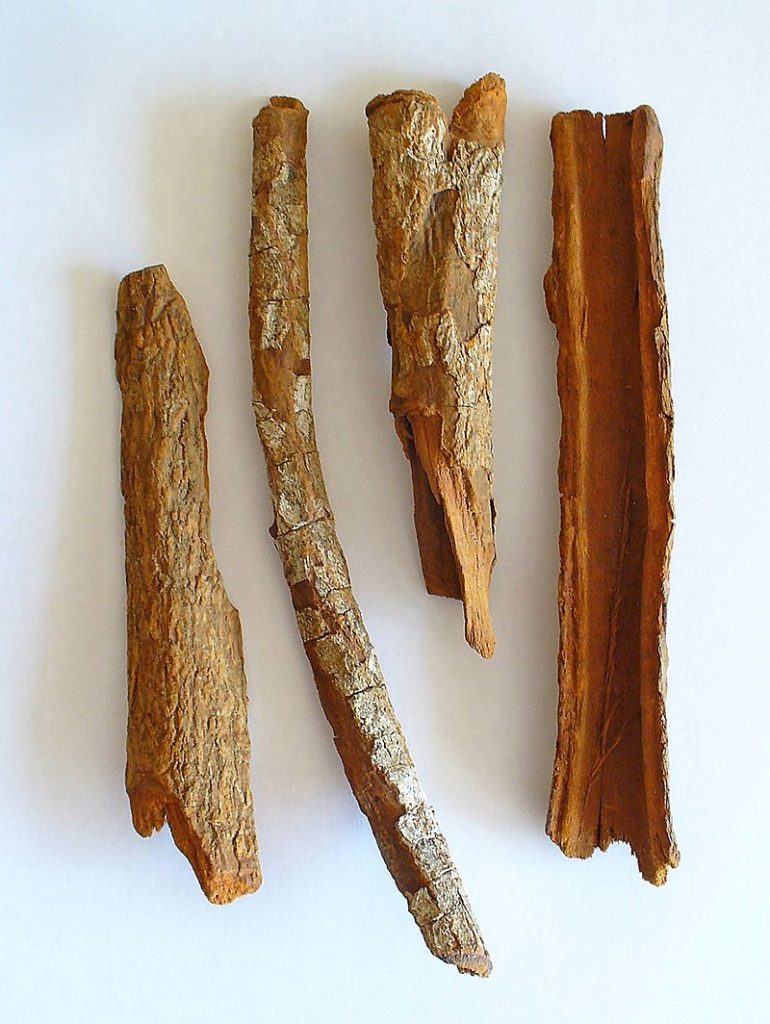 cinchona-bark-nutrawiki