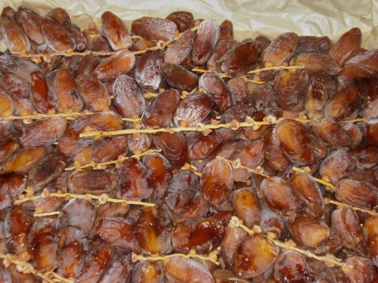 Deglet Noor Dates – NutraWiki